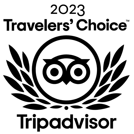 Carpe Diem Tours logo featuring a stylized sun and wave design, representing guided wine tours in the scenic Okanagan Valley.